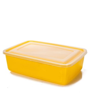 Caixa retangular 4L  cores tampa hermetica  2265 - Ercaplast