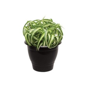 Vaso redondo medio 6702 - Inplast